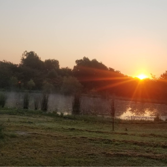 Meet your Posher, Jacob - Picture 2 of 2